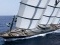 1. Maltese Falcon