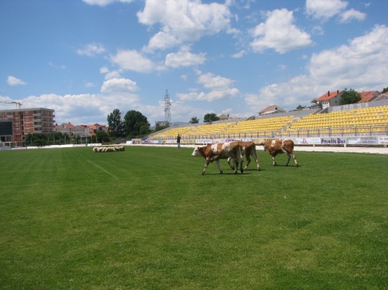 slika