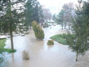 Goražde