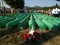 Foto: Feđa Krvavac/Sarajevo-x.com