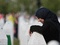 Foto: Feđa Krvavac/Sarajevo-x.com