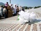 Foto: Feđa Krvavac/Sarajevo-x.com