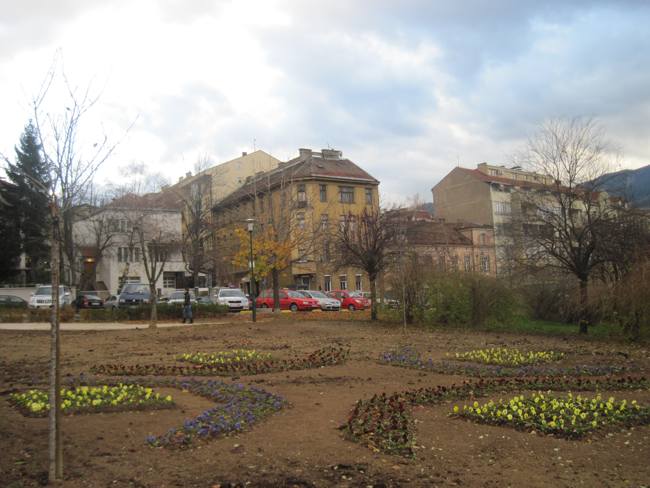 121128083.1_mn.jpg