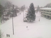 Jablanica