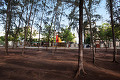 The Chapel (Vijetnam)