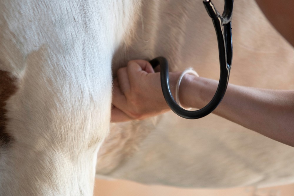 Veterinarski tehničar (m/ž)