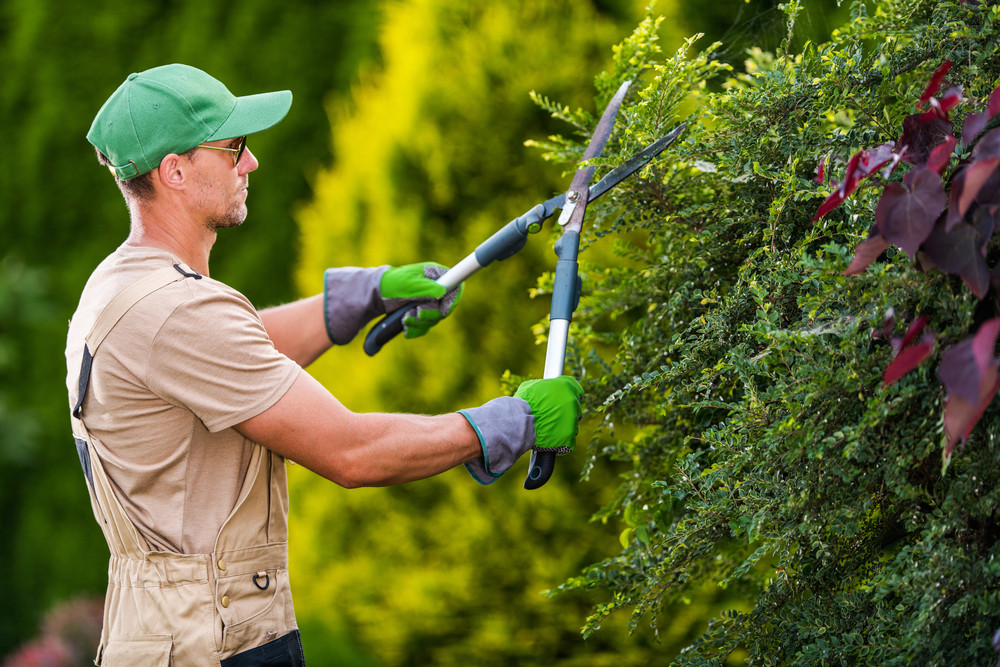 Gardener - Maintenance Worker (m/f)