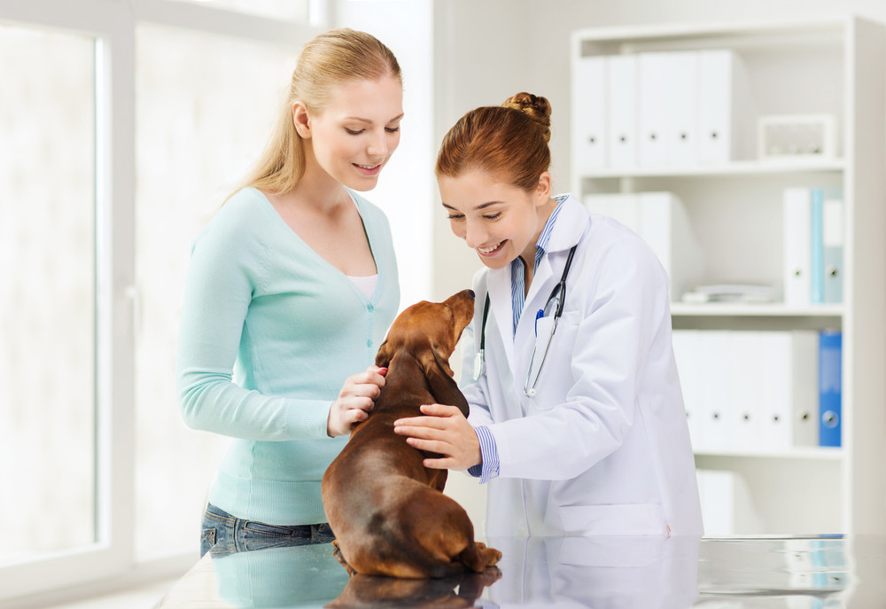 Doktor veterinarske medicine (m/ž)