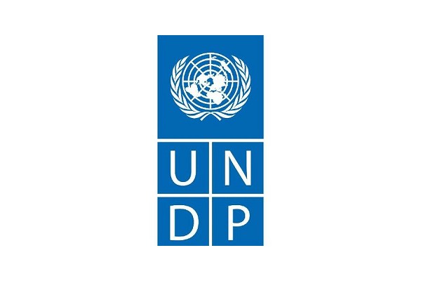 Field Monitoring Associate - Multiple Posts (m/f) | UNDP - Vimarsana News