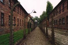 Visoki dužnosnici prisustvovat će 60. godišnjici oslobađanja Auschwitza