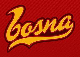 Bosna osigurala finale play-offa za prvaka BiH