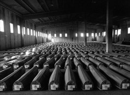 Podsjećanje na genocid u Srebrenici u 10 njemačkih gradova