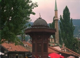 Udruženje "SOS Sarajevo" više ne može da zbrinjava ni povrijeđene životinje