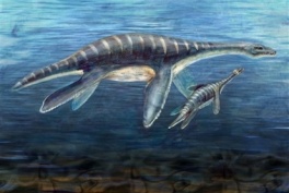 Kosti bebe plesiosaura pronađene na Antarktiku