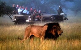 Afrički safari