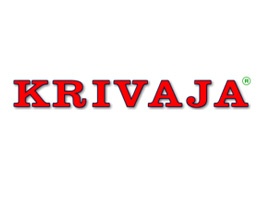 Radnici preduzeća "Krivaja" blokirali put M-17 na petlji u Žepču u znak protesta