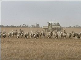 The Independent: Najveća suša u historiji Australije