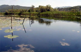 Počelo otvaranje drevnih grobova u Hutovom blatu