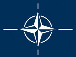 Crnadak: Ulazak u NATO zavisi od same BiH