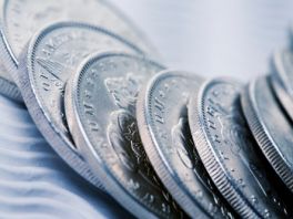 Oko 20 posto verificirane stare devizne štednje u RS