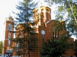 Stabilno stanje vladike Hrizostoma