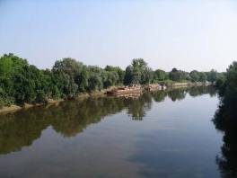 Rijeka Sava