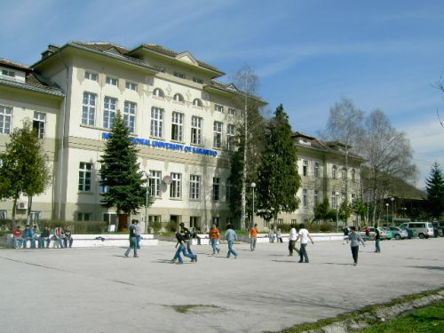 Međunarodni univerzitet u Sarajevu