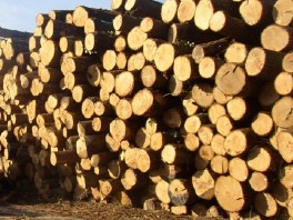 BH privrednicima predstavljen sadržaj sajma Klagenfurt