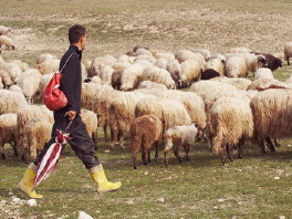 Makedonac u ropstvu držao mladića iz BiH