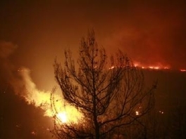 Požar na lokalitetu vidikovac