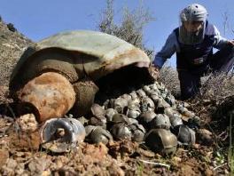 10 balkanskih država raspravlja o zabrani kasetnih bombi