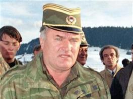 Pretrage kuća Mladićeve rodbine uspješna operacija