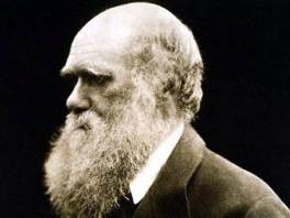 U Darwinovu teoriju ne vjeruje 63 posto Amerikanaca