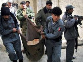 Ubijeno 35 militanata u provinciji Kandahar