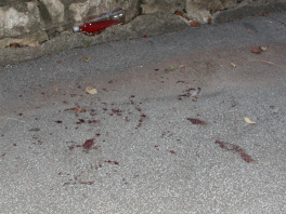 Tragovi krvi sa mjesta nesreće (Foto: Feđa Krvavac/Fotoservis)