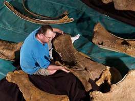 Scott Hocknull s ostacima dinosaurusa
