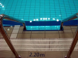 Olimpijski bazen zbog remonta zatvoren do 21. 9.