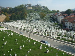 Šehidsko mezarje Kovači, Foto: Panoramio.com