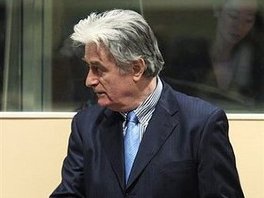 Radovan Karadžić (Foto: AFP/POOL/File)