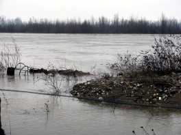 Rijeka Drina u Bijeljini (Foto: SRNA)