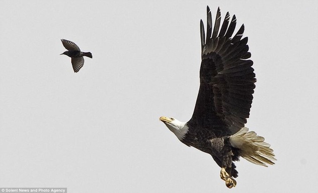 Foto: Daily Mail