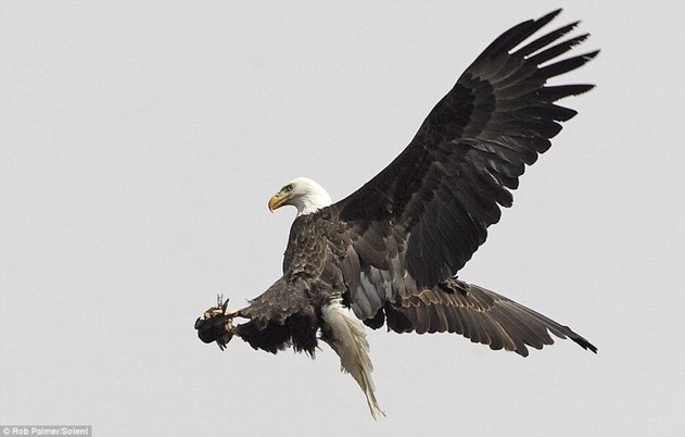 Foto: Daily Mail