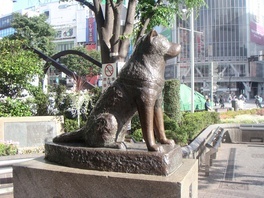 Japanski film "Hachiko" na Otvorenoj sceni Obala