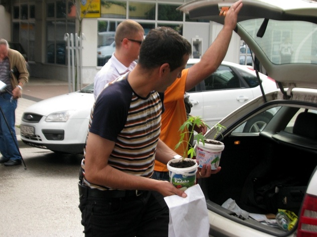 Zaplijenjena droga (Foto: SRNA)