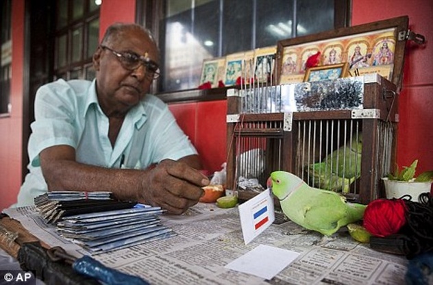 Papagaj Mani