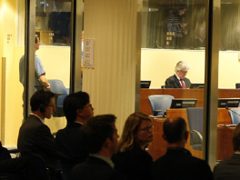 Suđenje Radovanu Karadžiću (Foto: EPA)