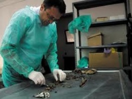 Među identifikovanima i trogodišnji Ardinel Kunić