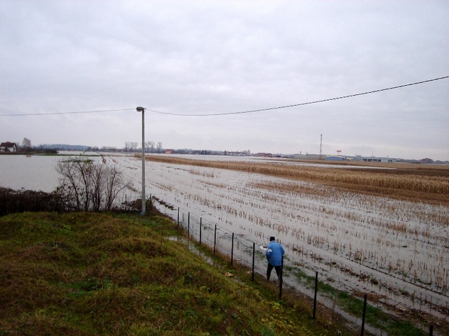 Poplave u Bijeljini (Foto: SRNA)