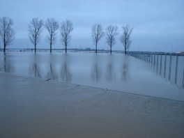 Poplave u Bijeljini (Foto: SRNA)