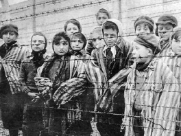 Dodatne informacije o holokaustu u školama